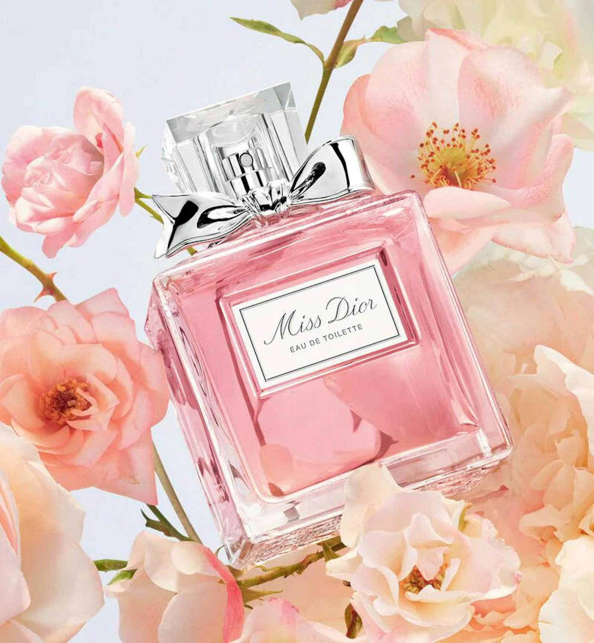 Miss Dior Eau De Toilette 50ml | The Fragrance Shop