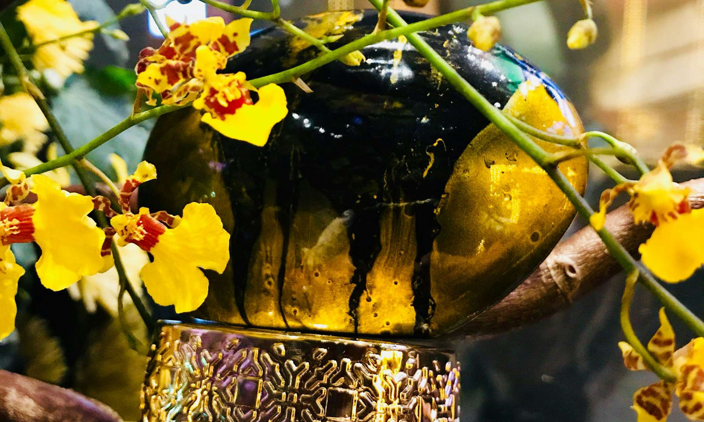 The House Of Oud Dates Delight 20 OFF with MyTFS