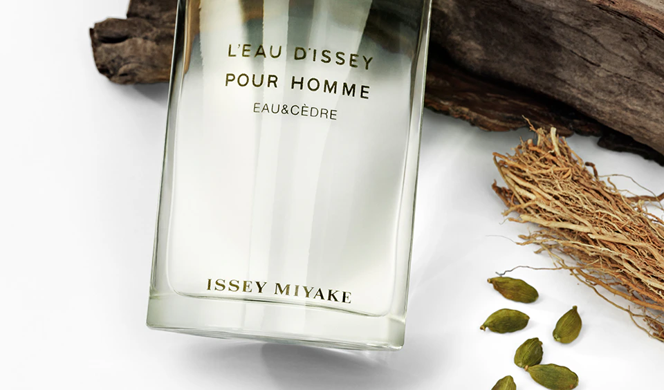 L'Eau d'Issey Pour Homme Aftershave for Men | Issey Miyake | The ...