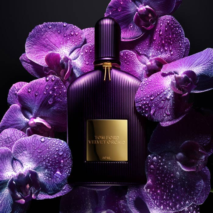 Tom Ford Velvet Orchid EDP 50ml The Fragrance Shop