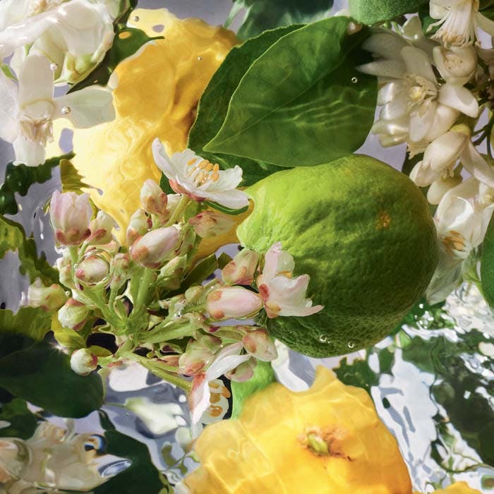 GEL DOUCHE A LA BERGAMOTE Shower Gel 200ml