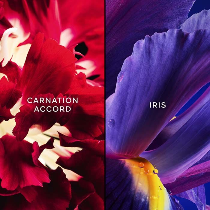 APRES L'ONDEE Eau De Toilette 75ml Spray