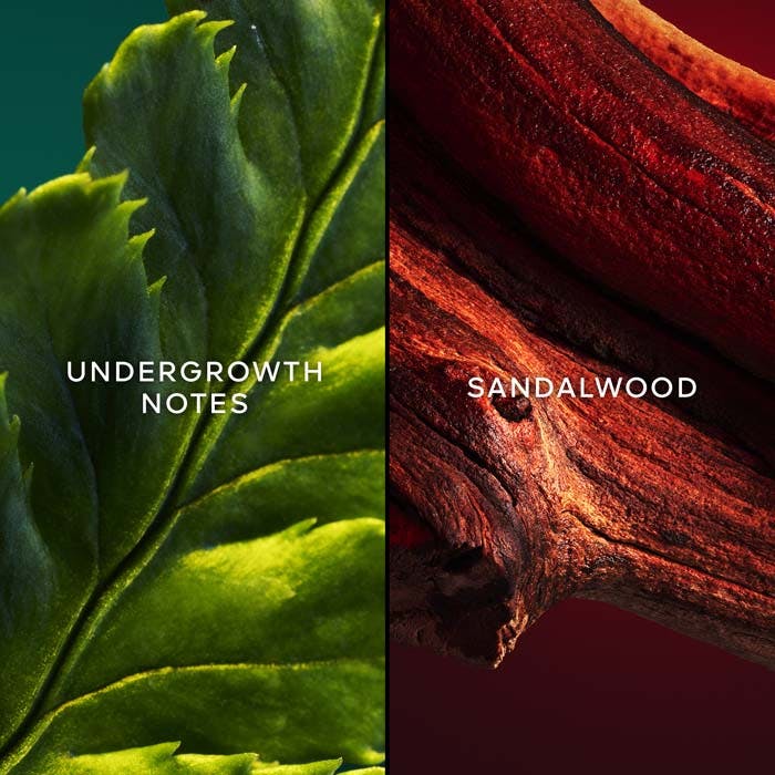 CHANT D'ARÔMES Eau De Toilette 75ml Spray