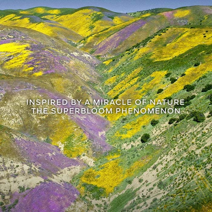 FLORABLOOM Eau De Toilette 125ml Refill