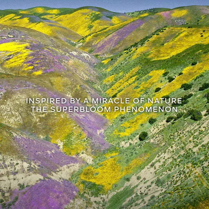 FORTE - FLORABLOOM Eau De Parfum 200ml Refill