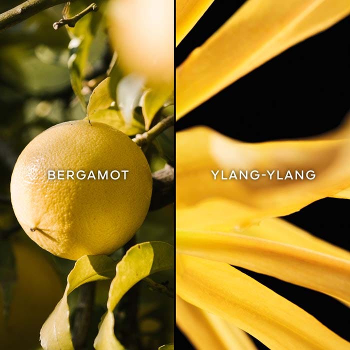 TERRACOTTA Eau De Toilette 75ml Spray