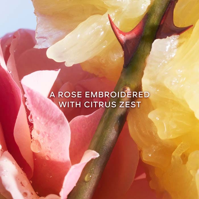 New Eau De Toilette 30ml Spray