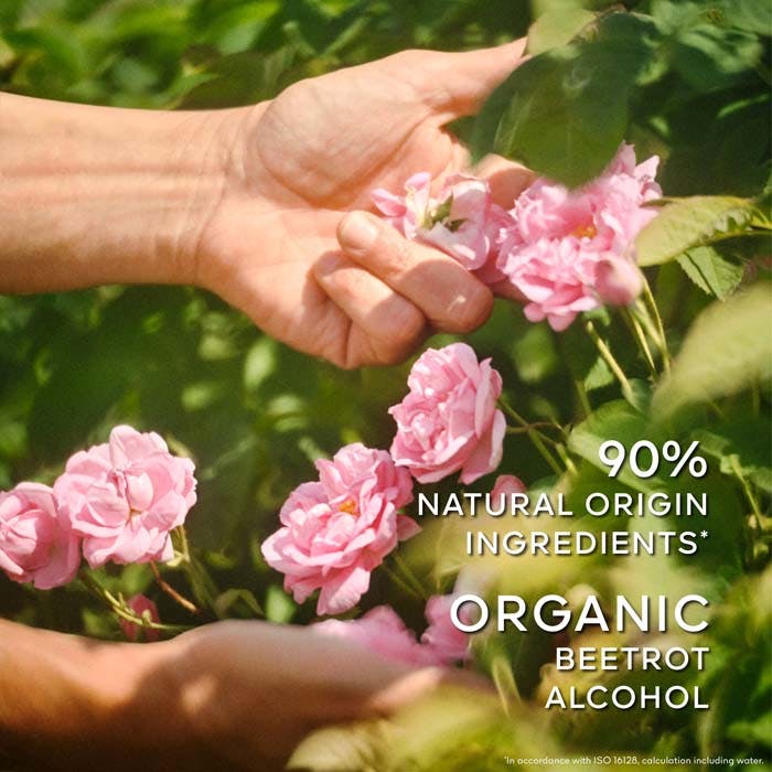 New Eau De Toilette 30ml Spray