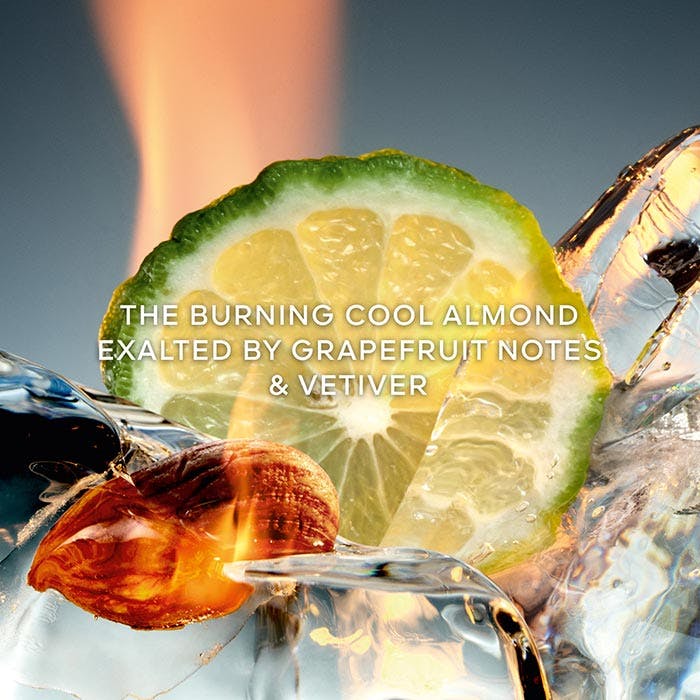 Eau De Parfum COLOGNE FORTE 100ml Spray