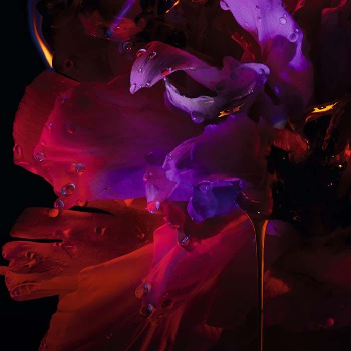 Hypnotic Poison Eau De Parfum 50ml