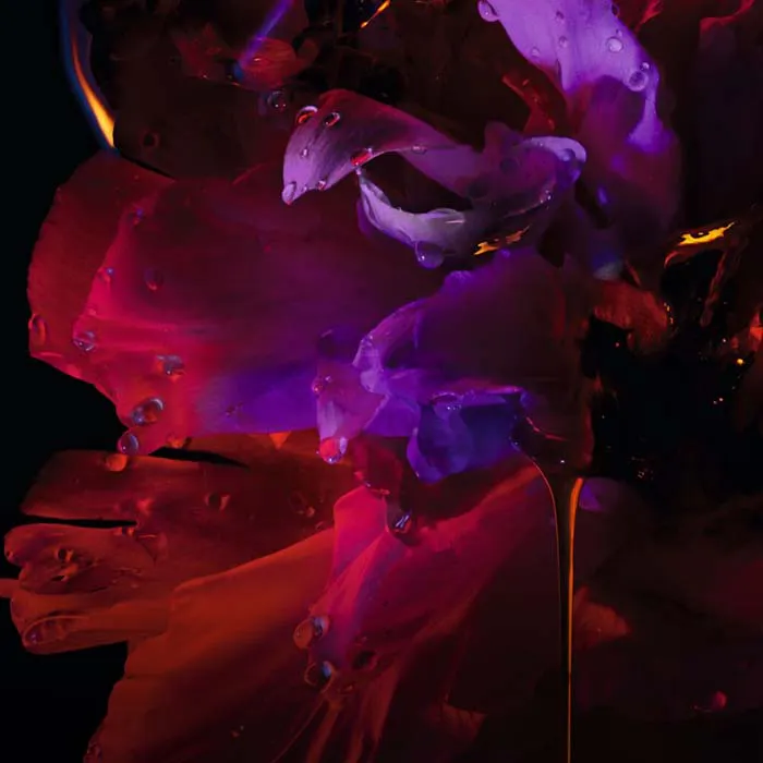 Hypnotic Poison Eau De Parfum 100ml