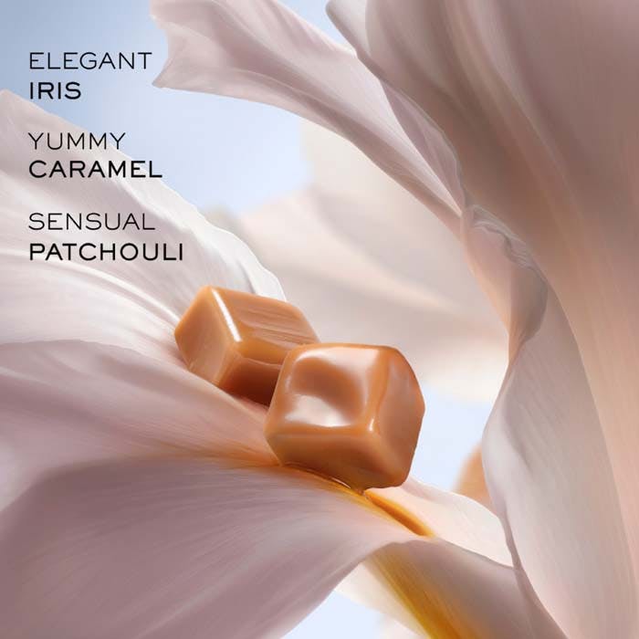 Eau De Parfum 100ml Mist