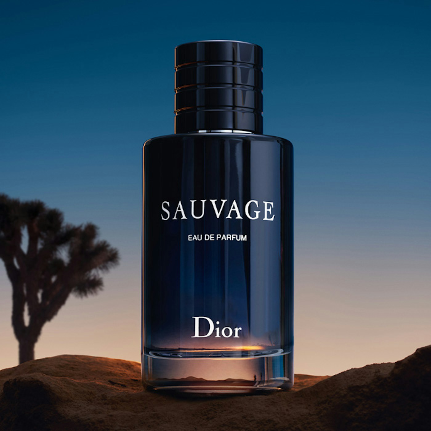 Dior Sauvage Men's EDP 60ml