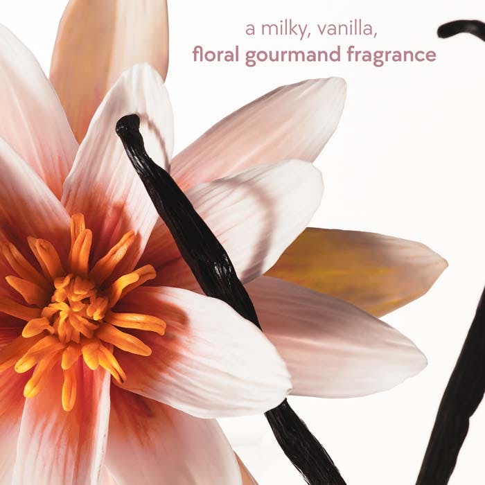 Body Mist 236ml Spray