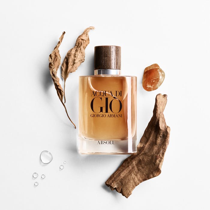 Giorgio armani acqua di deals gio absolu 40ml