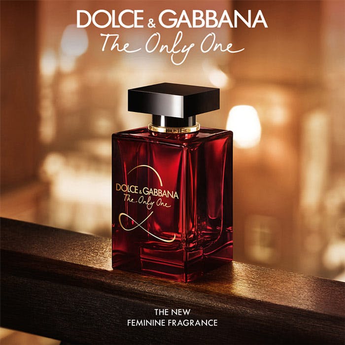 Dolce and gabbana discount the only one