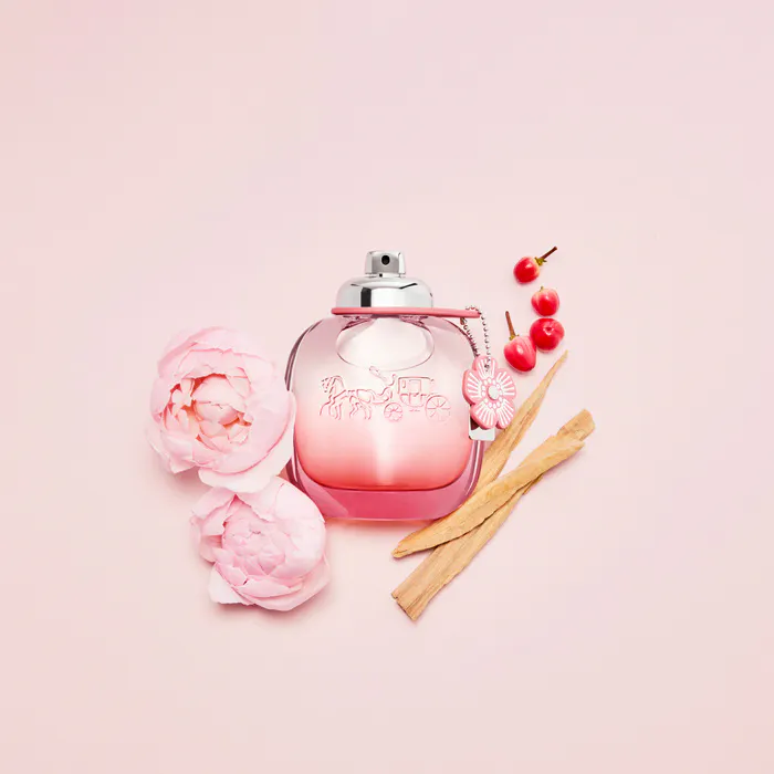 Coach Floral Blush Perfume for Women | 50ml | The Fragrance Shop