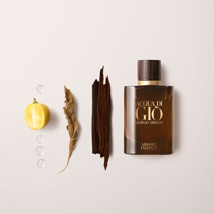 Aqua de gio absolu instinct sale