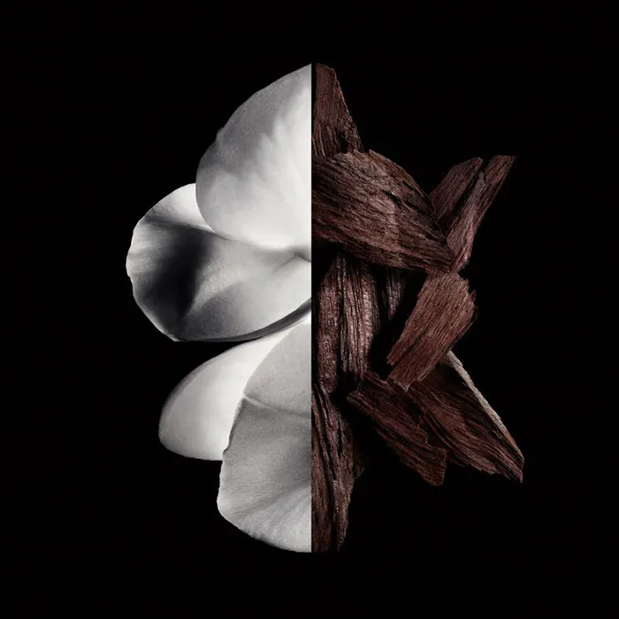 Eau De Parfum Boisée 100ml