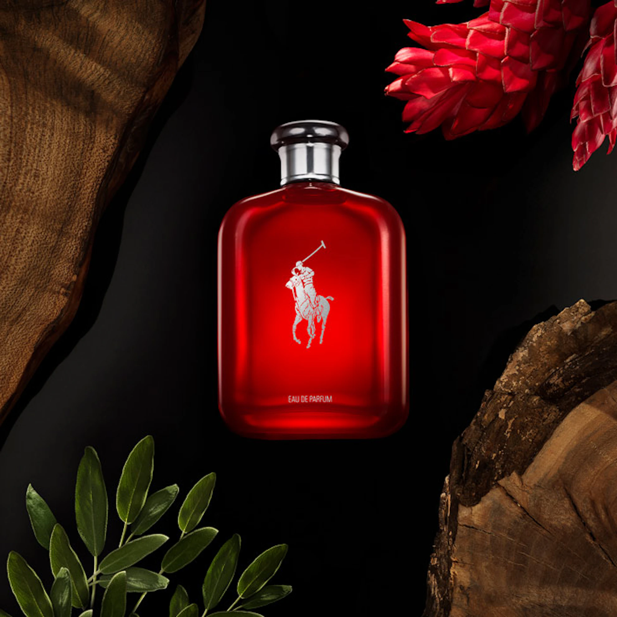 Ralph Lauren Polo Red Eau de Parfum| men's fragrance| The Fragrance ...