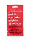 Anatomicals Makes Your Skin Brighter (If Not You) Strawberry + Yarrow Face Mask 15ml