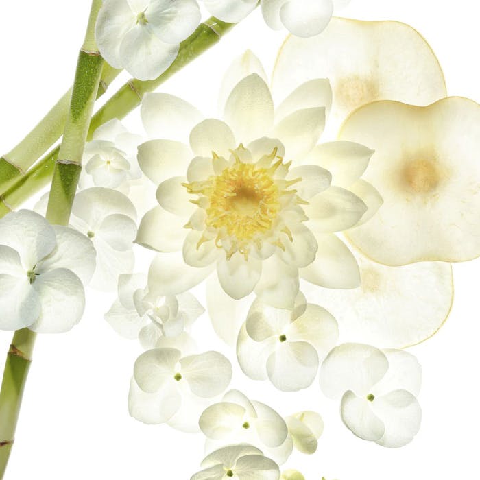 Product photo Image03