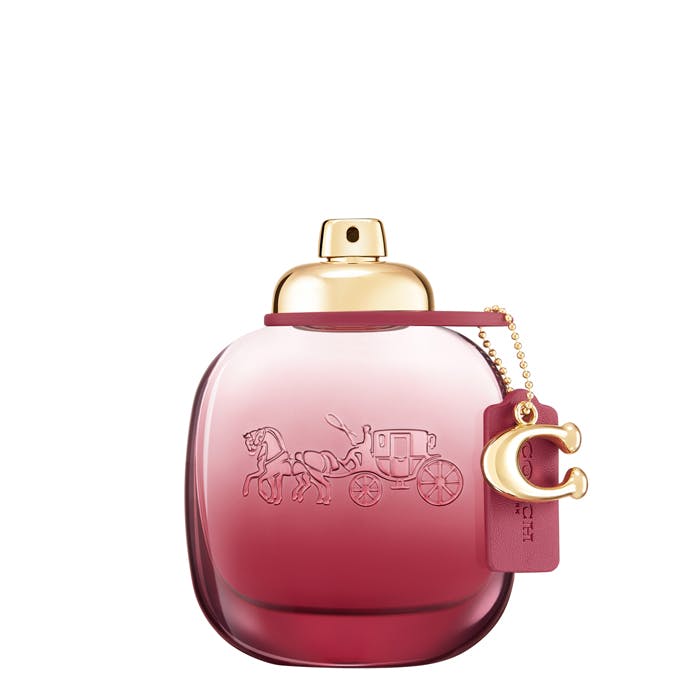 Coach Wild Rose Toiletry Pouch store