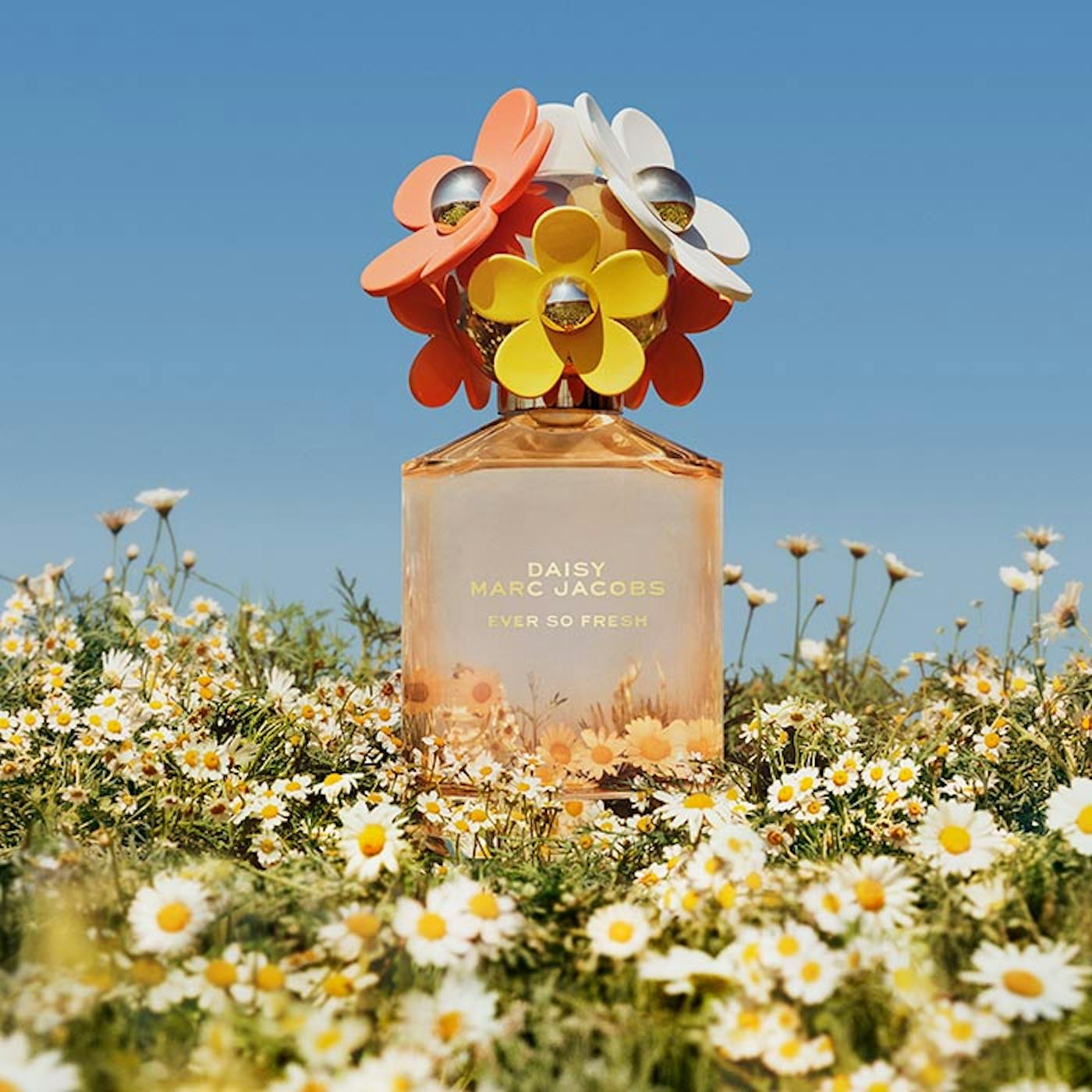 Marc Jacobs Daisy Love – Fragrance Samples UK