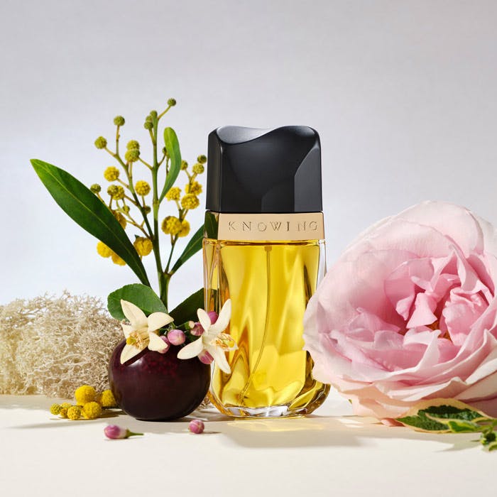 Where to best sale buy knowing perfume