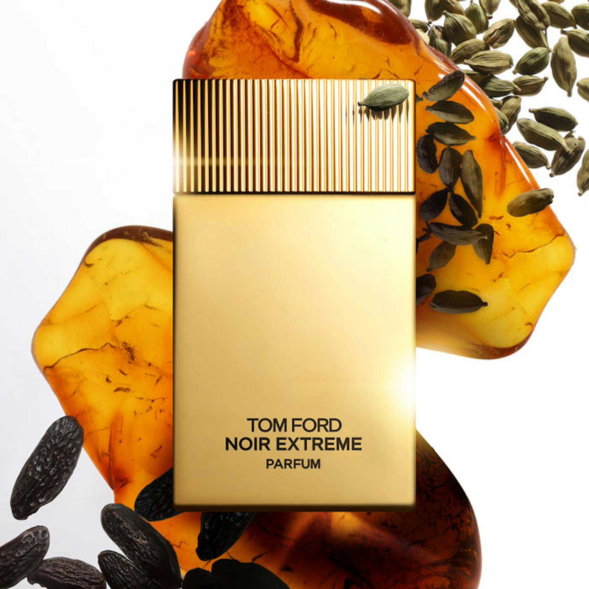 Tom Ford Noir Extreme Parfum 50ml Spray | The Fragrance Shop