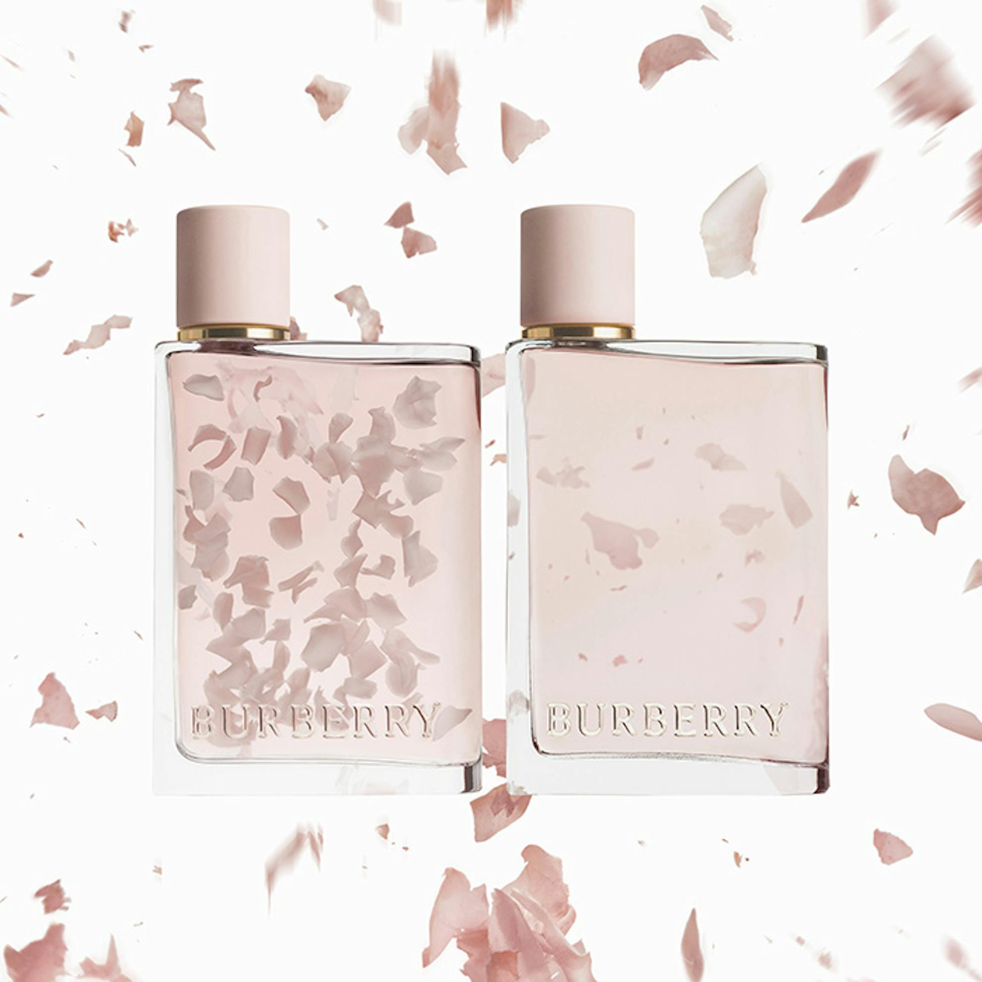 burberry her blossom david jones