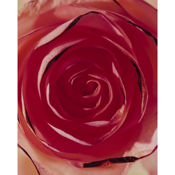 Product photo Image05