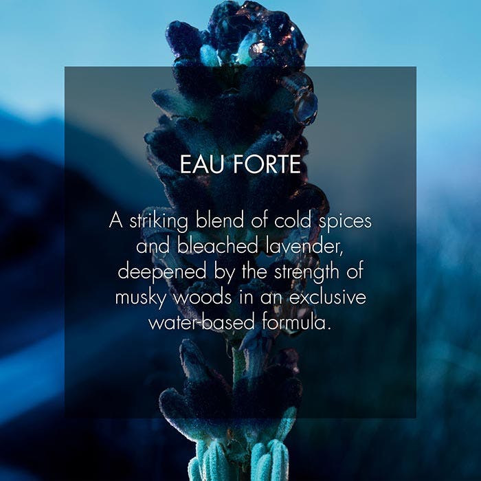 Eau Forte, The NEW Parfum 60ml