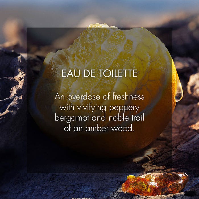 Spray for the Wild - Eau de Toilette Limited-edition