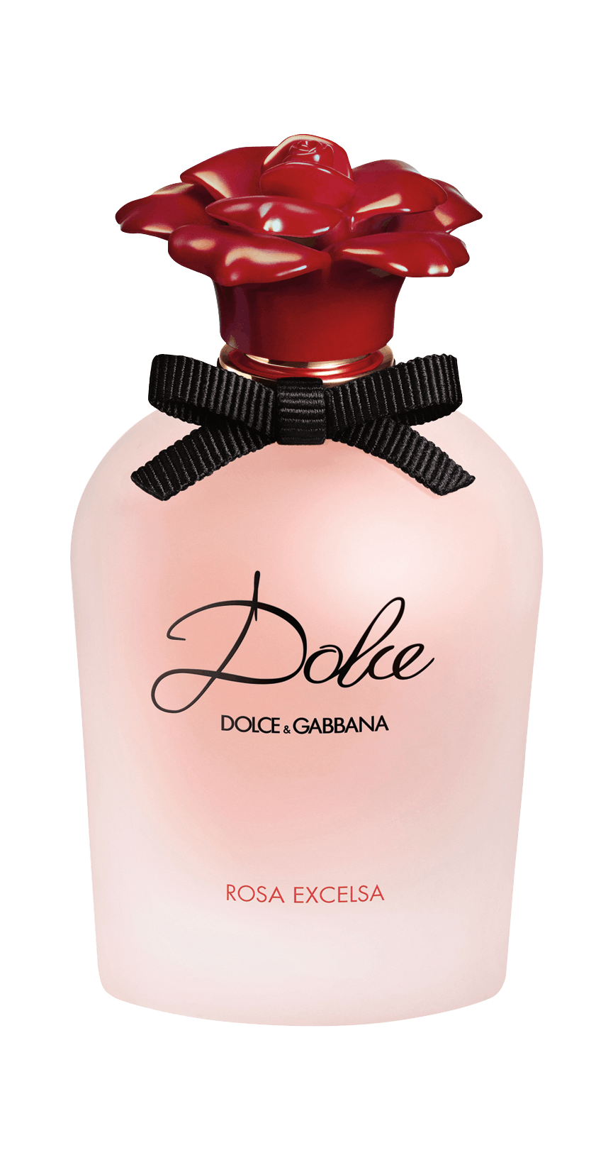 Dolce  Gabbana Eau De Parfum 50ml Spray The Fragrance Shop