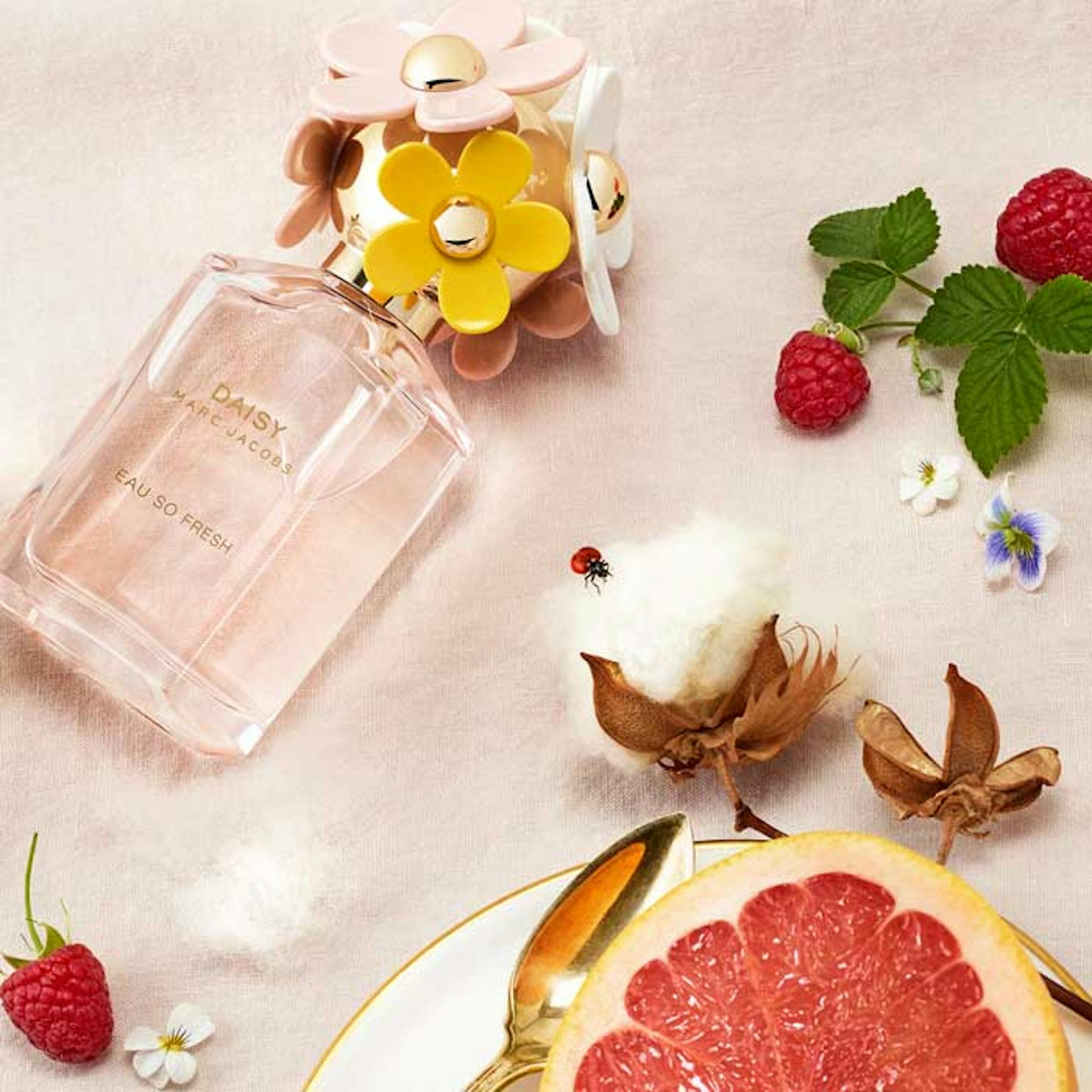 Marc Jacobs Daisy Eau So Fresh Perfume for Women, 75ml, The Fragrance  Shop